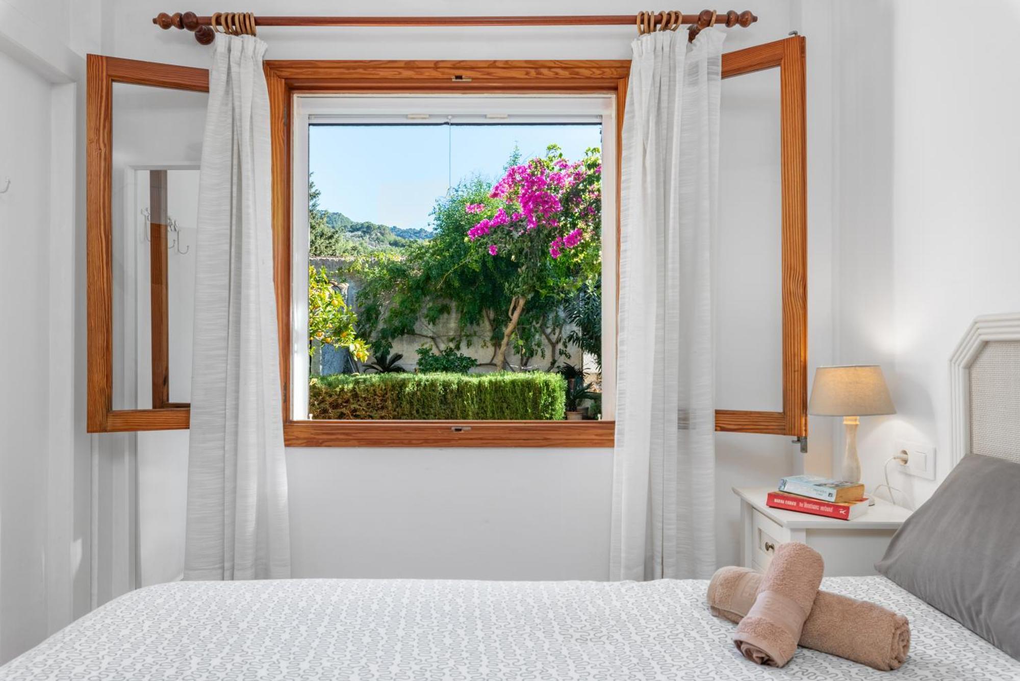 Bougainvillea