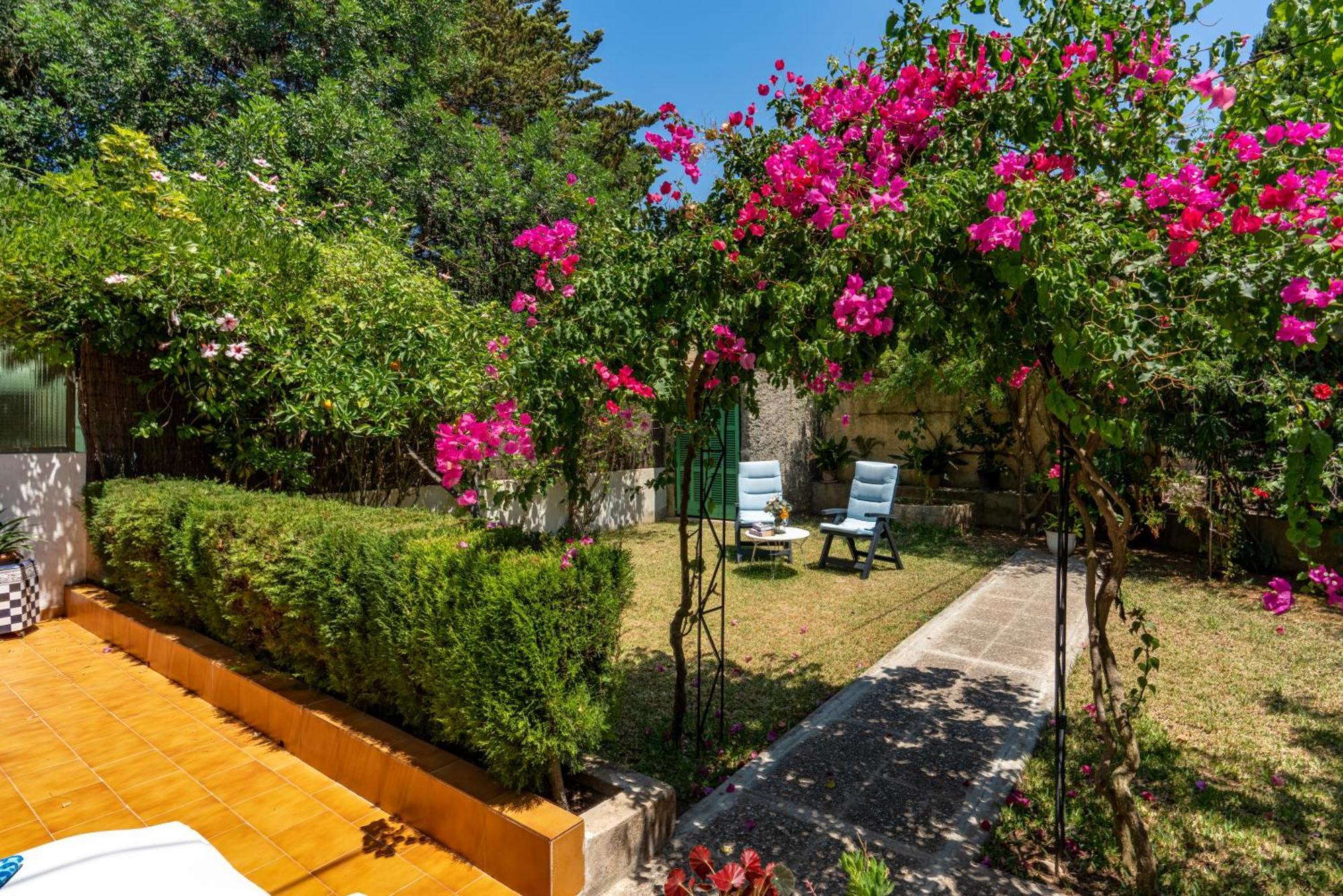 Bougainvillea * Puerto de Sóller