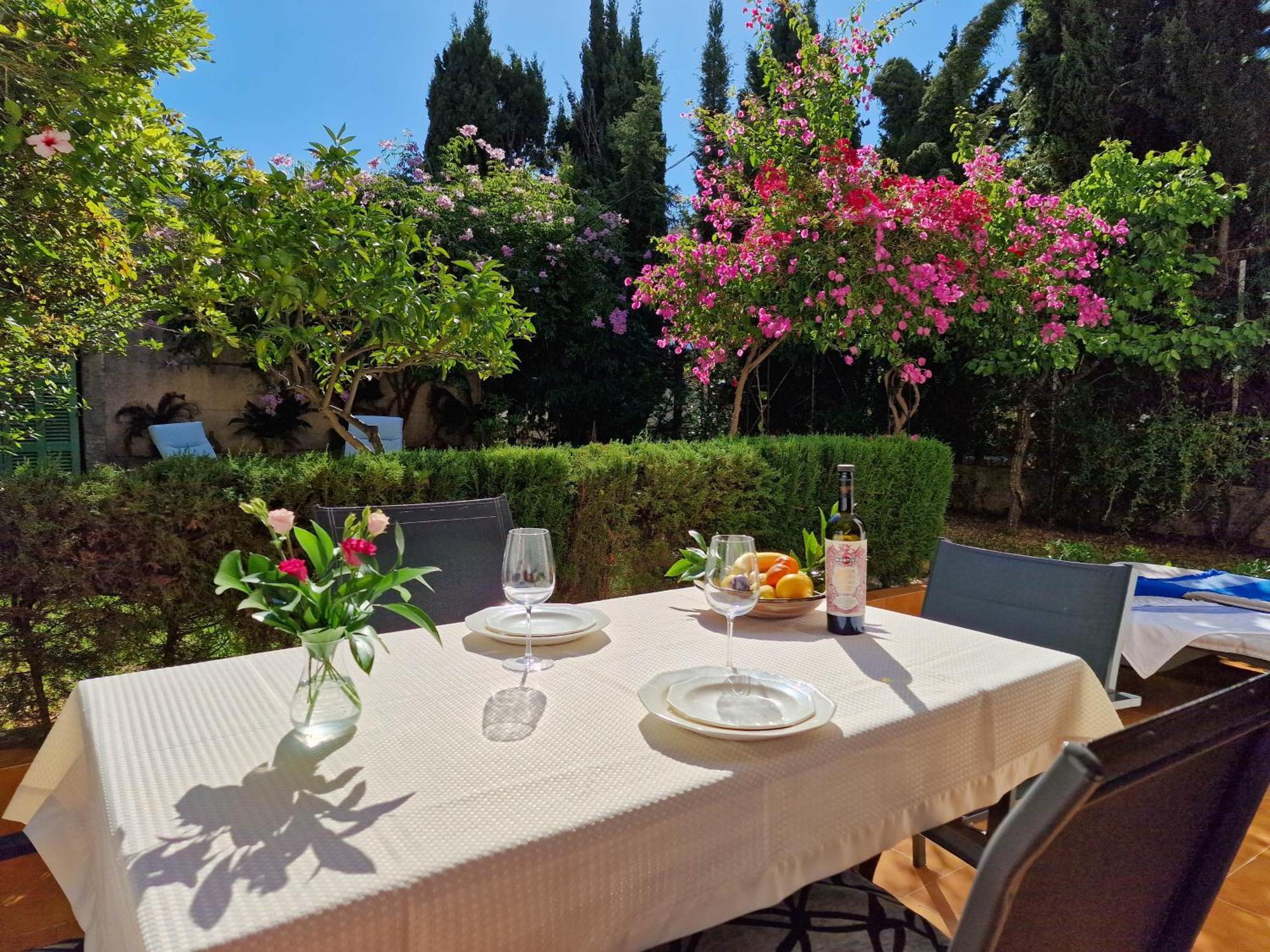 Bougainvillea Puerto de Sóller